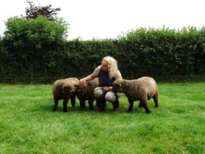 Me and my coloured ryeland sheep